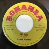 Lamar Morris : DR1-7309 / These Lonely Hands Of Mine (7")
