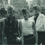 Stray Cats : Live - Tear It Up (CD)
