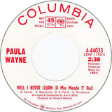 Paula Wayne : Will I Never Learn (Il Mio Mondo E' Qui) (7", Promo)