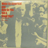 Lance Lindsay : Wake Up America! / How Do You Tell A Small Boy (7", Single)