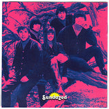 The Vejtables : Feel... The Vejtables (CD, Comp, Mono)