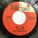 Hedva And David : Next Year (B-Shanah Habaah) / If You Stay For Awhile (Donkey Express) (7", Single)