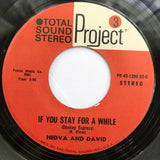 Hedva And David : Next Year (B-Shanah Habaah) / If You Stay For Awhile (Donkey Express) (7", Single)