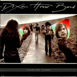 Dixon House Band : Fighting Alone (LP, Album, Pin)