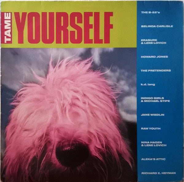 Various : Tame Yourself (LP, Comp)