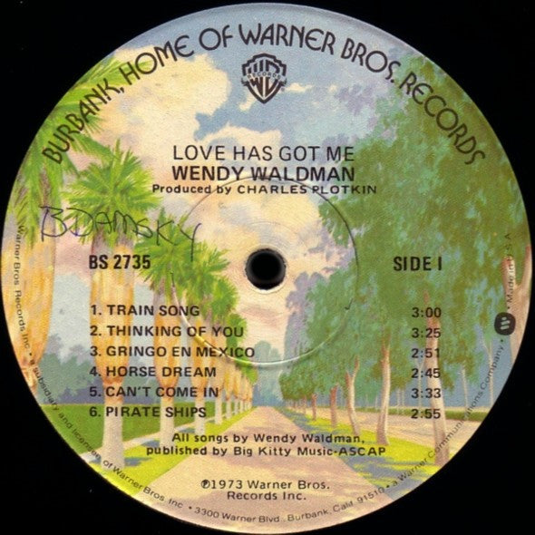 Wendy Waldman : Love Has Got Me (LP, Album, Ter)