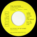The Exciters : Blowing Up My Mind! (7", Promo)