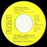 The Exciters : Blowing Up My Mind! (7", Promo)