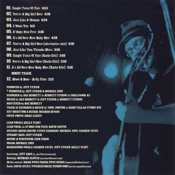 Dave's True Story : Simple Twist Of Fate (CD, Album)