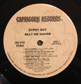 Billy Joe Shaver : Gypsy Boy (LP, Album, RP)