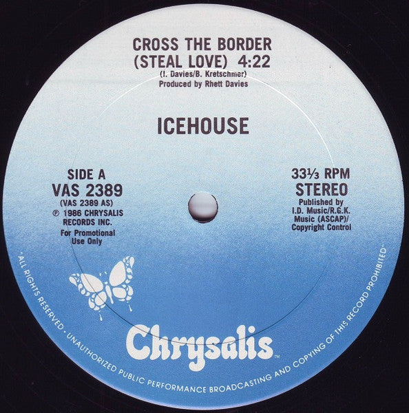 Icehouse : Cross The Border (Steal Love) / Iva Davies Interview (12", Promo, Pit)