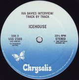 Icehouse : Cross The Border (Steal Love) / Iva Davies Interview (12", Promo, Pit)