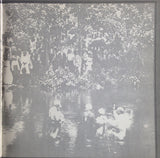 The Seldom Scene : Baptizing (LP, RE)
