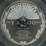 Charley Patton : Founder Of The Delta Blues (2xLP, Comp, Ltd, RE, 180)