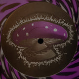Disintegrator : Trans-Dimensional (12")
