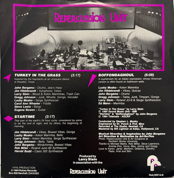 Repercussion Unit : Turkey In The Grass / Startime / Boffondaghoul (7")