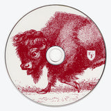 Foo Fighters : In Your Honor (2xCD, Album)