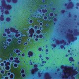 Autechre : Basscad,EP (CD, EP)