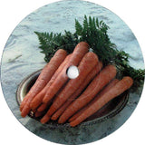 Be Your Own Pet : Adventure (7", Single, 2/2)