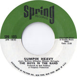 The Boys In The Band : (How Bout A Little Hand For) The Boys In The Band (7", Styrene, Ter)