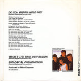 Bow Wow Wow : Do You Wanna Hold Me? (12")