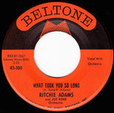 Ritchie Adams And Joe Rene & Orchestra : Two Initials (In A Heart) / What Took You So Long (7", Single)