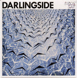 Darlingside : Birds Say (CD, Album)
