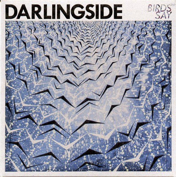 Darlingside : Birds Say (CD, Album)