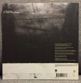 Dirty Pretty Things : Wondering (7")