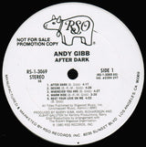 Andy Gibb : After Dark (LP, Promo, 56 )