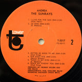 The Sunrays : Andrea (LP, Album, Mono, Los)