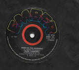 Glen Campbell : Mary In The Morning (7", Single)