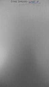 Dixie Dregs : What If (LP, Advance, Album, Promo, TP)